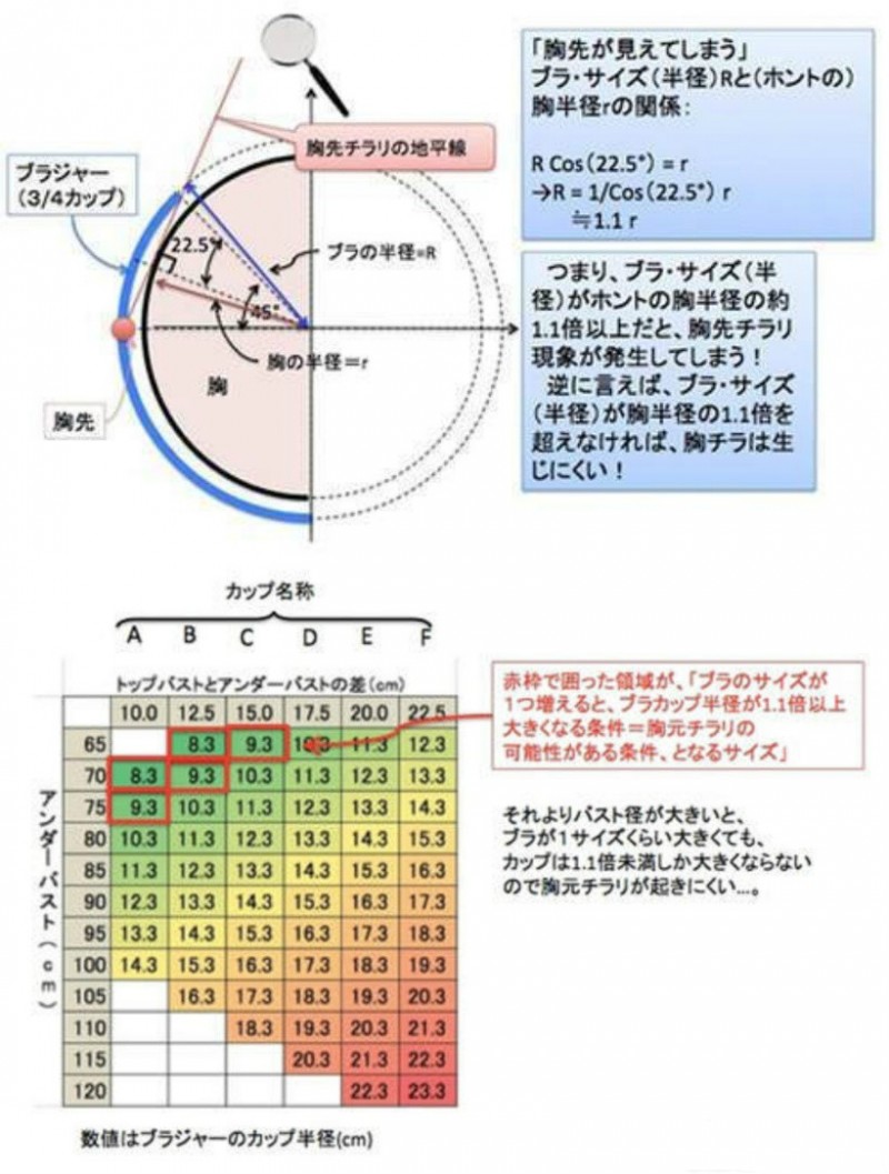 日本欧派函数对抗大赛 用数学分析女人性感美胸