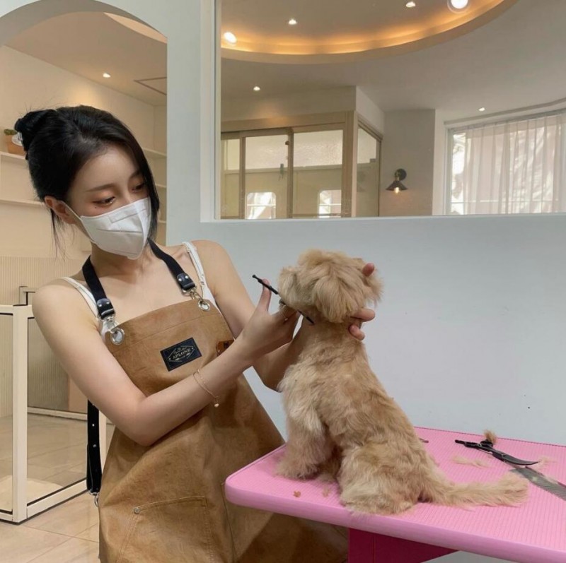 有养狗有机会！韩国超辣宠物美容师영이盘起头发认真工作的模样真是迷人！