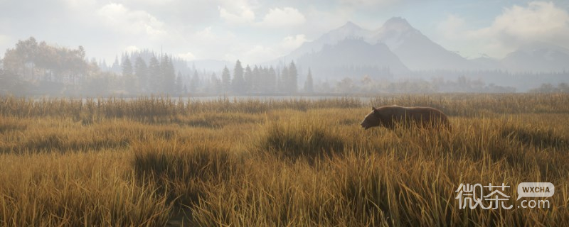 《猎人：荒野的呼唤》雷文图里的棕熊抓法攻略